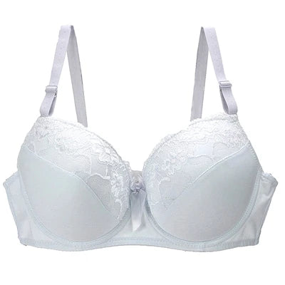 Women’s Sexy Lace Bra Plus Size BCDE Cup (34-44)