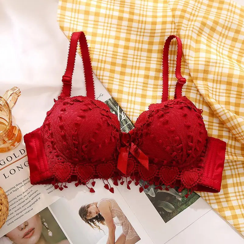 Women’s Sexy Lace Lingerie Bra – Non-Underwire